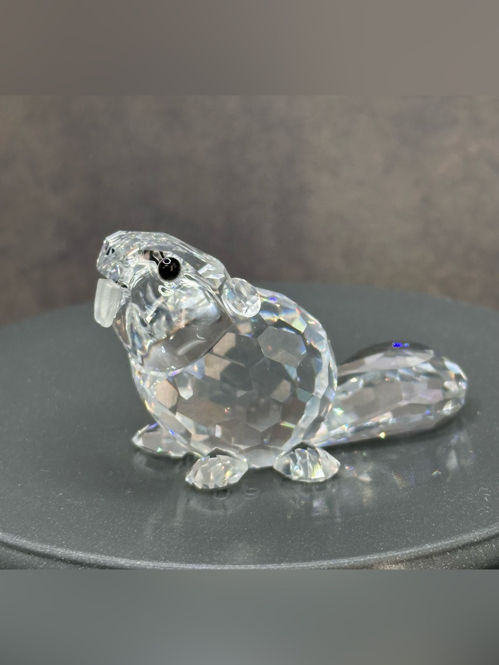 Retired Swarovski Crystal figurine Baby Beaver with faceted sparkles